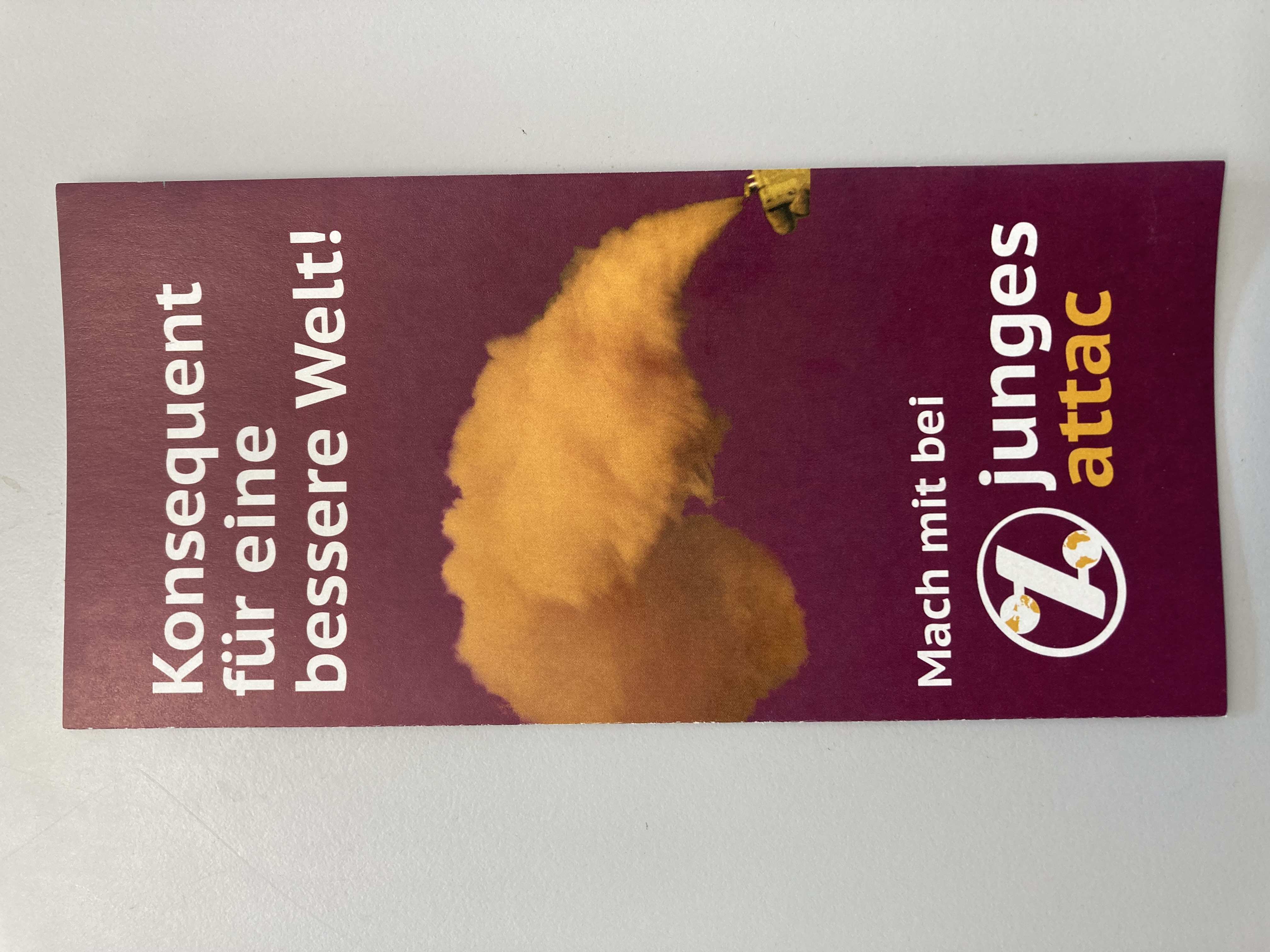 Infoflyer "junges attac"